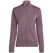 Icebreaker W M 300 Descender LS Zip