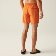 Pantalones cortos de hombre Regatta Mackleyna Swim Short