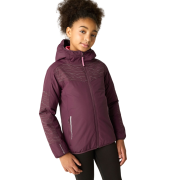 Chaqueta de invierno para niños Regatta Illuma Reflective Jacket Fig