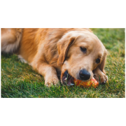 Juguete para perro Ruffwear Gnawt-a-Cone™ Toy