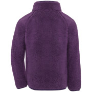 Sudadera para niños Didriksons Gibbs Kids Fullzip 2 Northen Purple