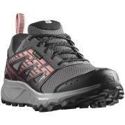 Zapatillas de carrera para mujer Salomon Wander Gore-Tex gris Plum Kitten / Black / Peach Amber