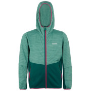 Sudadera para niños Regatta Prenton III verde DstyGn/RnFst