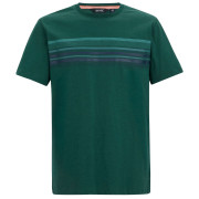 Camiseta de hombre Regatta Rendro verde Mediterranea