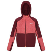 Sudadera para niños Regatta Dissolver VII rojo Mineral Red/Burgundy