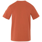 Camiseta de hombre Regatta Cline IX