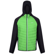 Chaqueta de hombre Regatta Andreson VIII Hybrid verde Jasmine Green/Ash