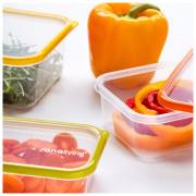 Caja de alimentos Omada Sanaliving Box Set 3x 24x16,5x5cm/1L