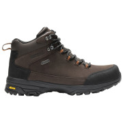 Botas de montaña hombre Regatta Burrell Leather Boot II marrón oscuro Peat