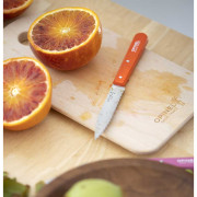 Cuchillo Opinel N°113 Sweet pop