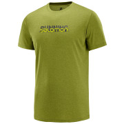 Camiseta de hombre Salomon Agile Graphic Tee M verde AvocadoHeat