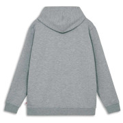Sudadera para niños Lego Wear Lwsato 202 Grey