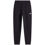 Pantalones de chándal para hombre The North Face M Evolution Simple Dome Regular Jogger negro TNF BLACK