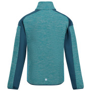 Sudadera para niños Regatta Jn Highton FZ III