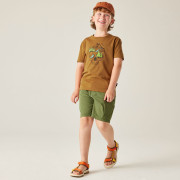Pantalones cortos para niños Dare 2b Reprise III Short Nephite Green