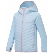 Chaqueta para niños Regatta Junior Andreson Hybrid Skyway