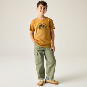 Camiseta para niños Regatta Bosley Wood Brown