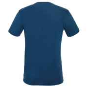 Camiseta de hombre Salewa Alpine Campus Dry M T-Srt.