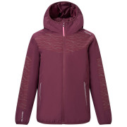 Chaqueta de invierno para niños Regatta Illuma Reflective Jacket Fig burdeos Fig