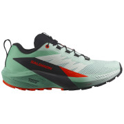 Zapatillas de carrera para mujer Salomon Sense Ride 5