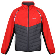 Chaqueta de hombre Regatta Steren Hybrid rojo Seville/SlGr