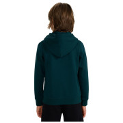 Sudadera para niños 4F Sweatshirt M1959