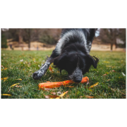 Juguete para perro Ruffwear Gnawt-a-Stick™ Toy