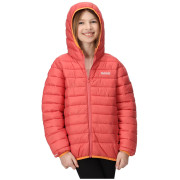 Chaqueta de invierno para niños Regatta Jnr Hooded Marizion