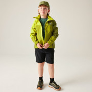 Chaqueta para niños Dare 2b Explore III Jacket Golden Cypress