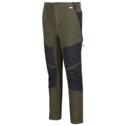 Pantalones de hombre Regatta Questra IV