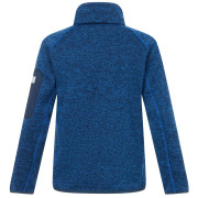 Sudadera para niños Regatta Junior Newhill Aviator Blue Golden Cypress