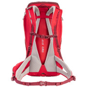 Mochila Salewa Alp Trainer 25