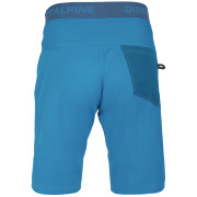 Pantalones cortos de hombre Direct Alpine Campus Short 2022