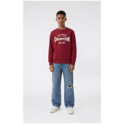 Sudadera para niños Champion Crewneck Sweatshirt B GMS