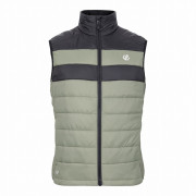 Chaleco de hombre Dare 2b Touring II Gilet verde/negro OlvneGrn/Blk