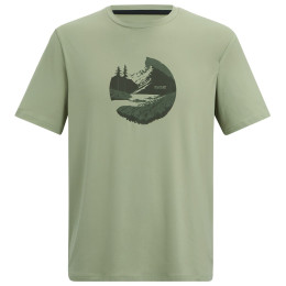 Camiseta de hombre Regatta Fingal Stretch verde Light Sage
