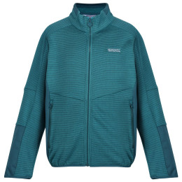 Sudadera para niños Regatta Highton WtrFZ III azul claro Pagoda/Drgnf