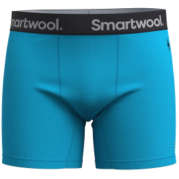 Calzoncillos bóxer para hombre Smartwool M Boxer Brief Boxed