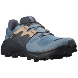 Calzado de mujer Salomon Wildcross 2 Gore-Tex azul Bluestone