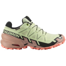 Calzado de mujer Salomon Speedcross 6 Gore-Tex