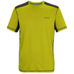 Camiseta de hombre Regatta Virda verde DkTang/Blk