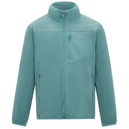 Sudadera para niños Regatta Junior Frankie F/Z Ivy Moss verde claro Ivy Moss