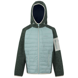 Chaqueta para niños Regatta Junior Newhill Hybrid verde claro Green Haze