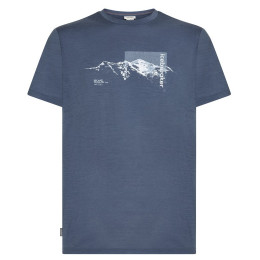 Camiseta funcional de hombre Icebreaker Men M 150 Tech Lite SS Tee Pure Altitude gris/azul Dawn