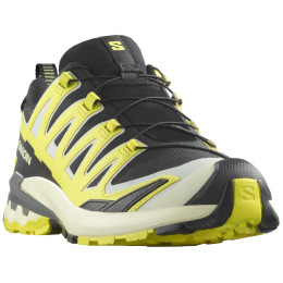 Calzado de senderismo para hombre Salomon Xa Pro 3D V9 Gore-Tex