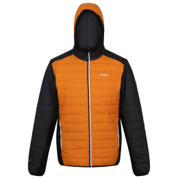 Chaqueta de hombre Regatta Trutton II naranja Orange Pepper/Ash