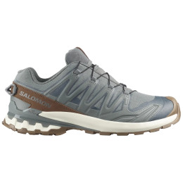 Calzado de hombre Salomon Xa Pro 3D V9 Gore-Tex Lifelong