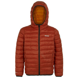 Chaqueta de invierno para niños Regatta Junior Hooded Marizion Rooibos Tea naranja Rooibos Tea(Black)