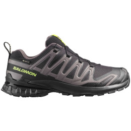 Calzado de senderismo para hombre Salomon Xa Pro 3D V9 Gore-Tex