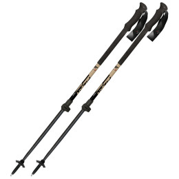 Bastones de esquí de travesía Fizan Aria